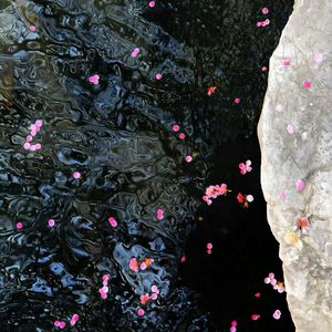 欧美亚洲小说图片图专区
