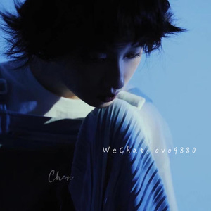 欧美亚洲小说图片图专区
